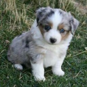 Meet your Posher, Wendy